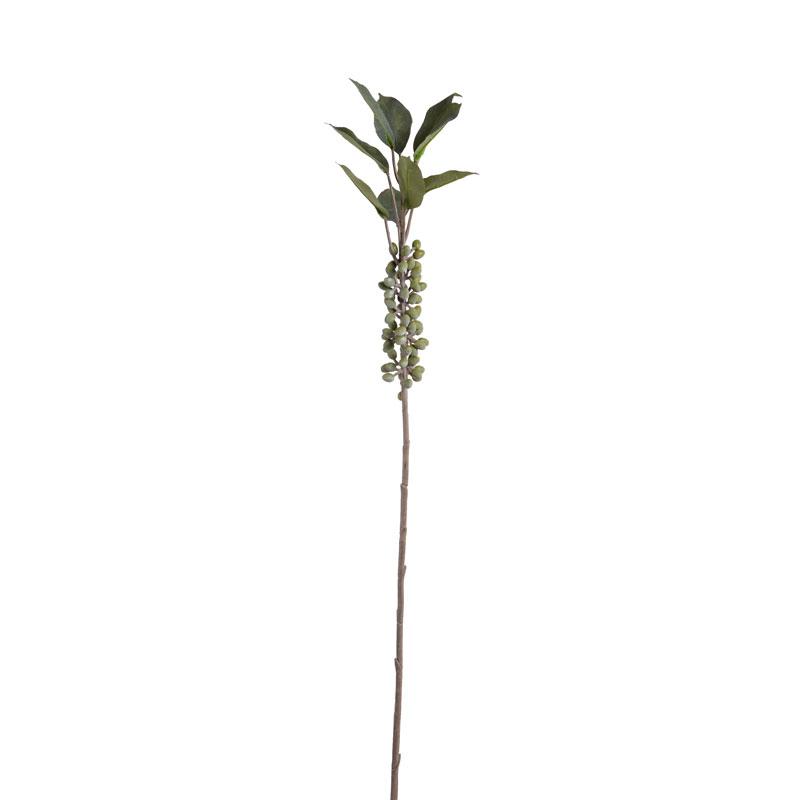 Coffee Berry Branch - New Growth Designs