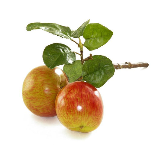 Apple Branch - New Growth Designs