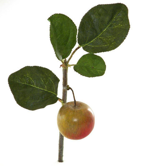 Braeburn Apple Branch - New Growth Designs