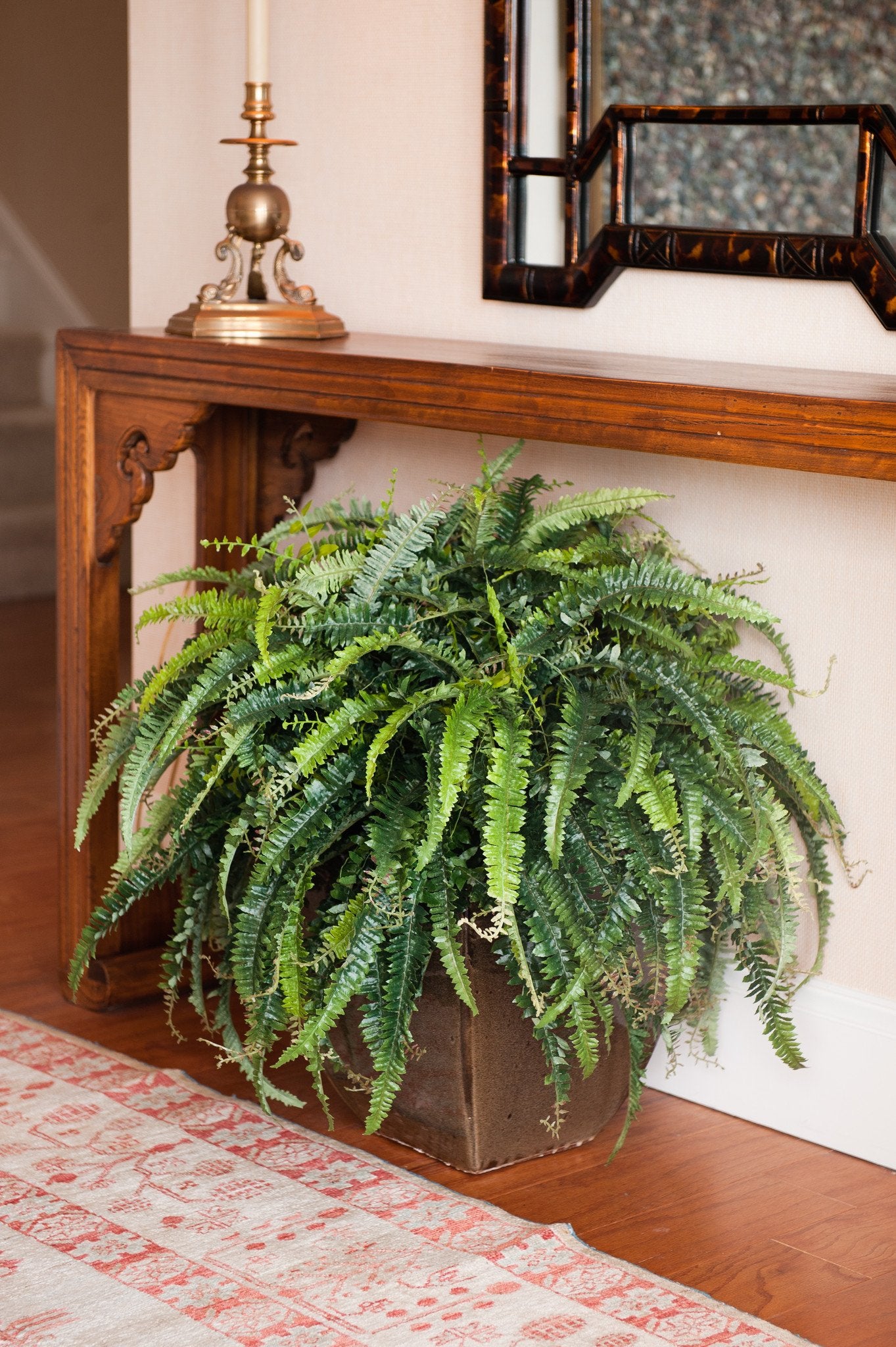 Forest Fern - New Growth Designs