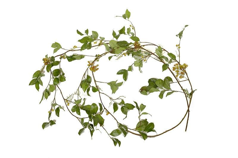 Berry Garland - New Growth Designs