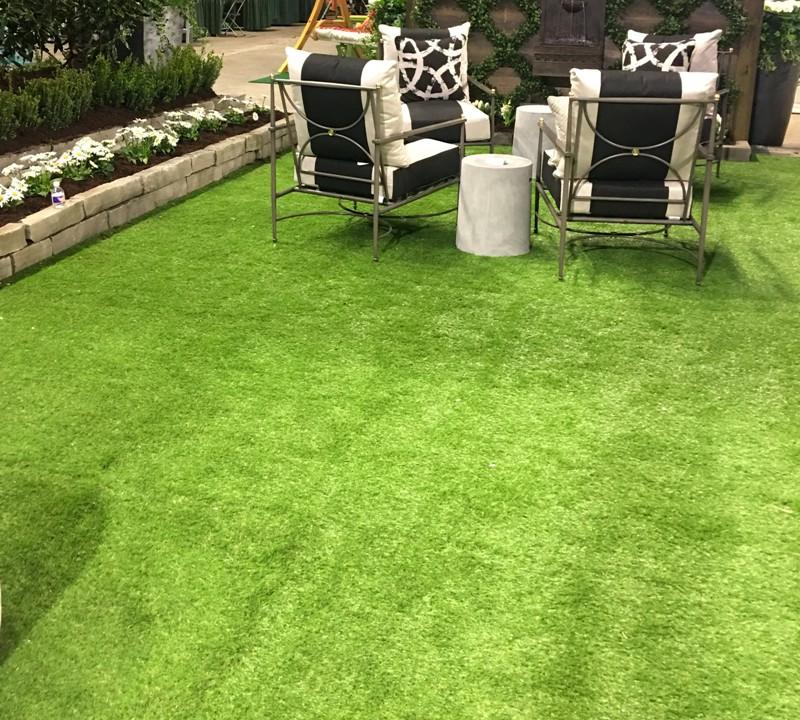 Grass Carpet - New Growth Designs