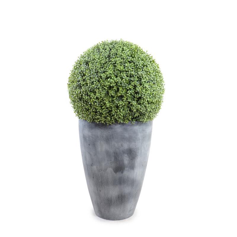 22" Boxwood Ball in Tapered Pot - New Growth Designs