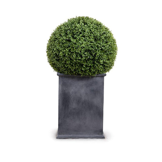 22" Boxwood Ball Topiary - New Growth Designs