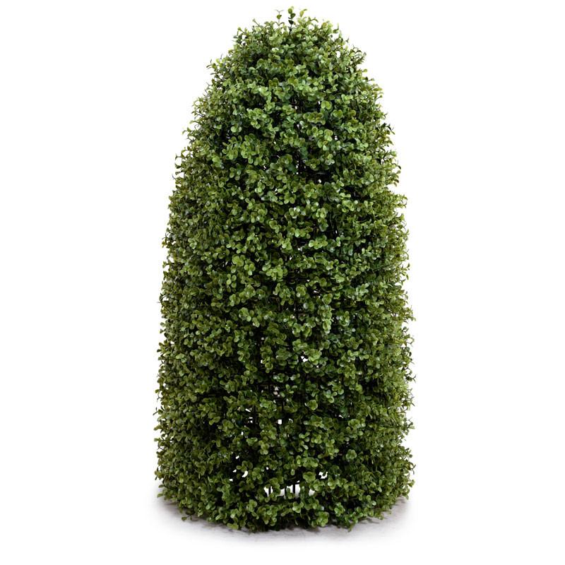 Boxwood Cone - New Growth Designs