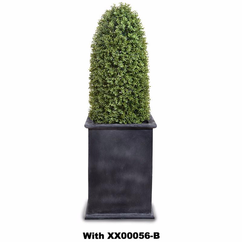 Boxwood Cone - New Growth Designs
