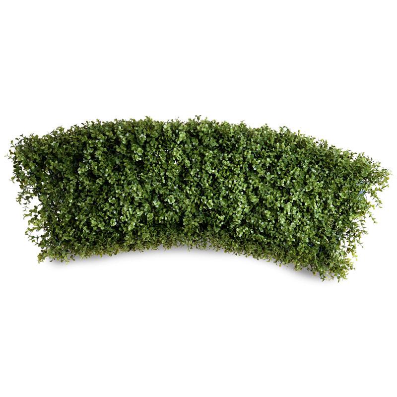 Boxwood Arc - New Growth Designs