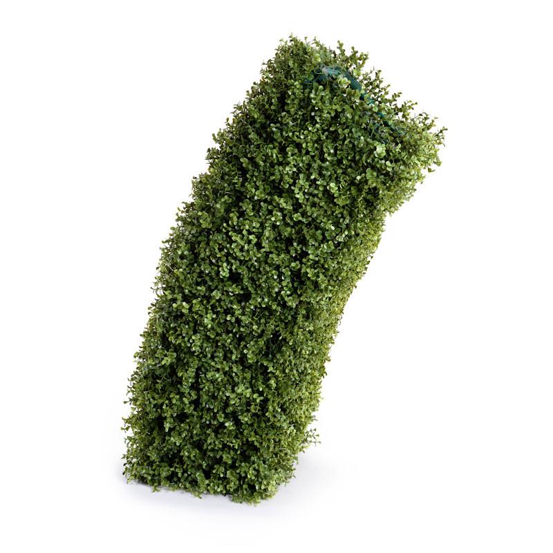 Boxwood Arc - New Growth Designs