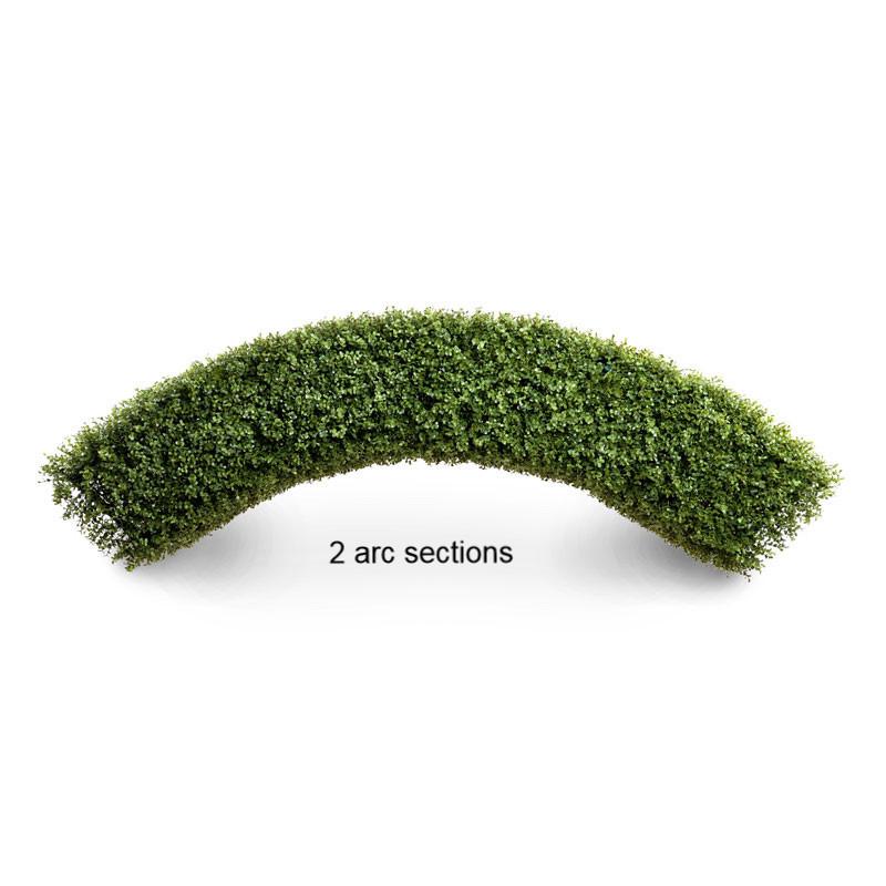 Boxwood Arc - New Growth Designs