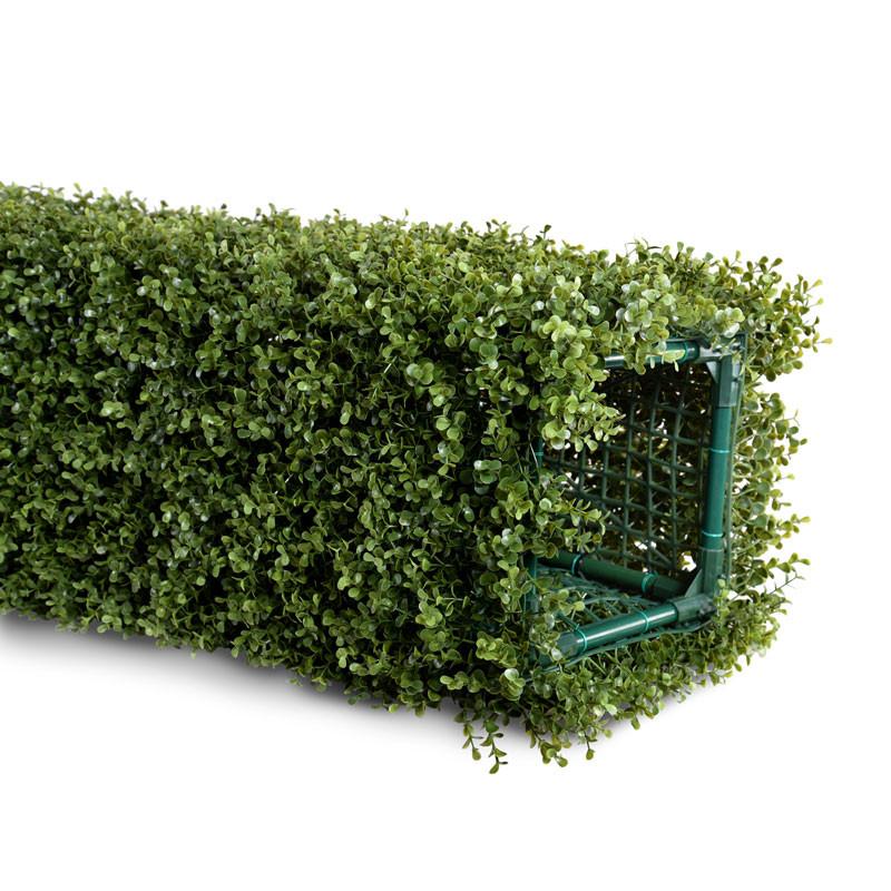 Boxwood Arc - New Growth Designs