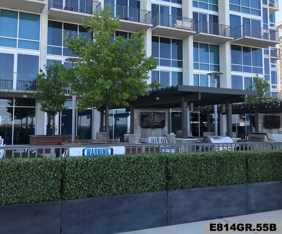 62" Boxwood Hedge - New Growth Designs