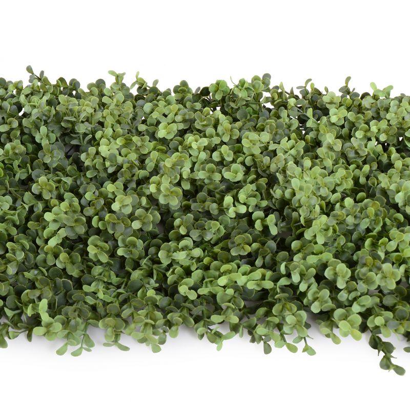62" Boxwood Hedge - New Growth Designs