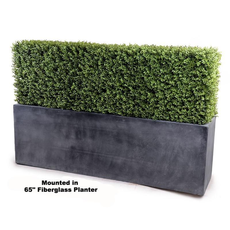 62" Boxwood Hedge - New Growth Designs