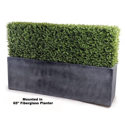 62" Boxwood Hedge with planter - New Growth Designs