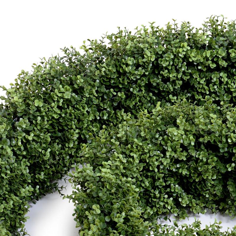 Boxwood Hedge, Flexible - New Growth Designs