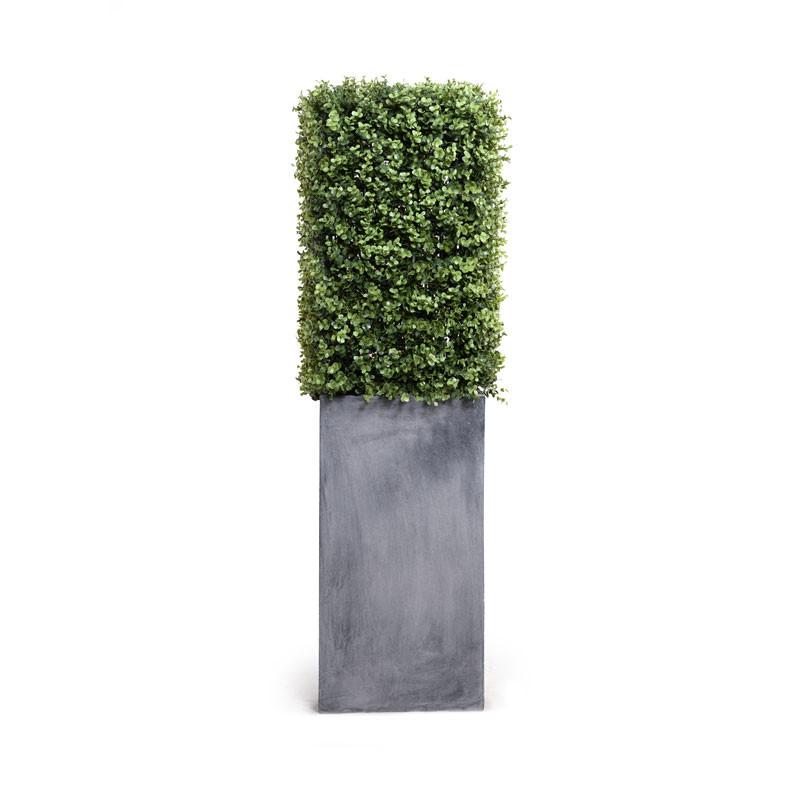 Boxwood Column in Pot - New Growth Designs