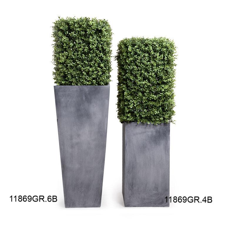Boxwood Column in Pot - New Growth Designs