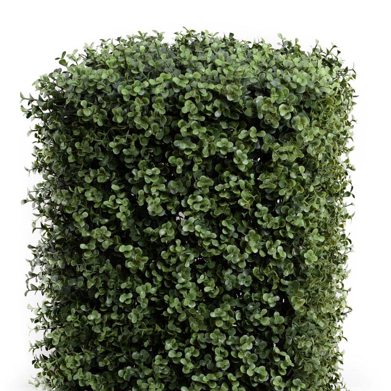 Boxwood Column in Pot - New Growth Designs