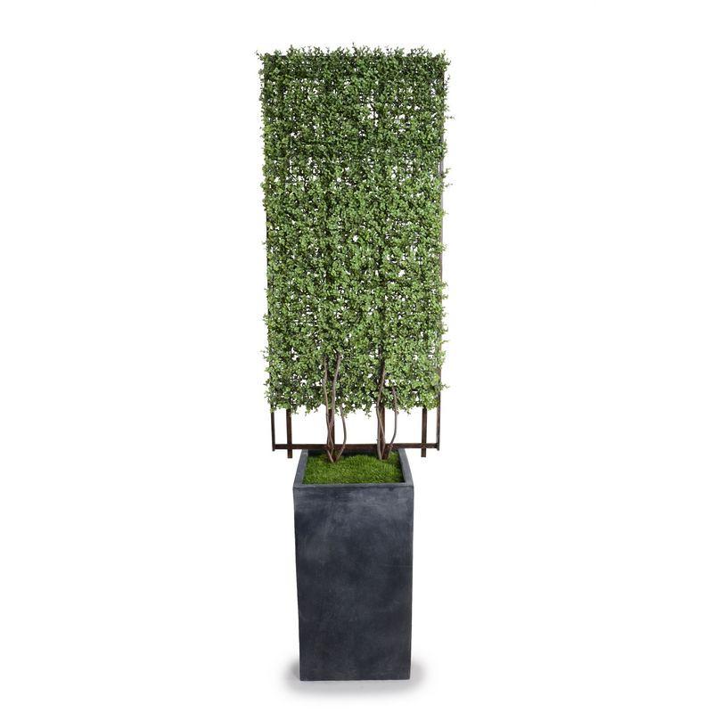 Boxwood Trellis in Column Pot - New Growth Designs