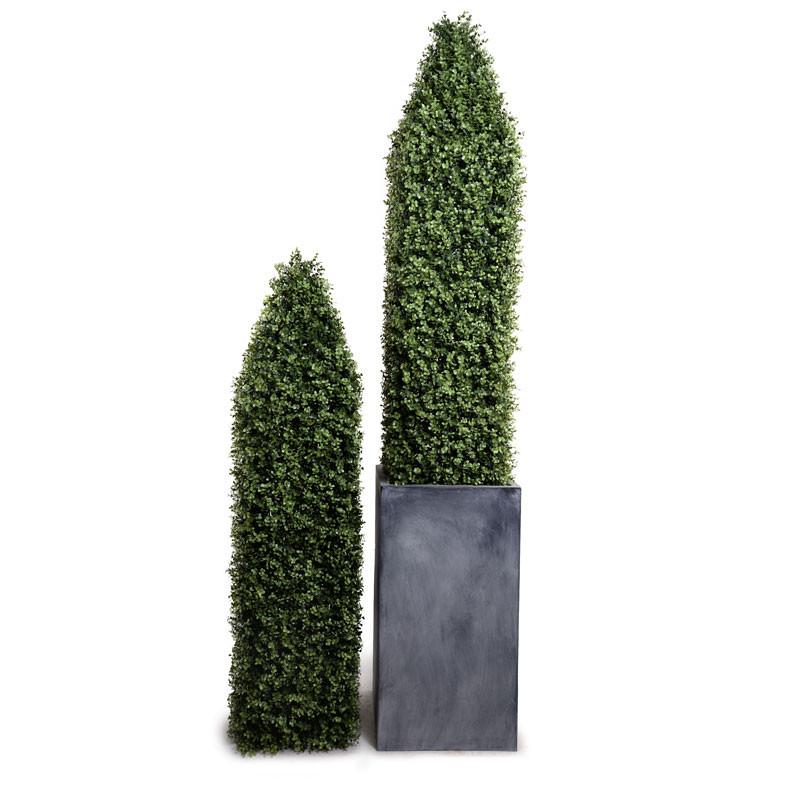 Boxwood Obelisk in Fiberglass Pot - New Growth Designs