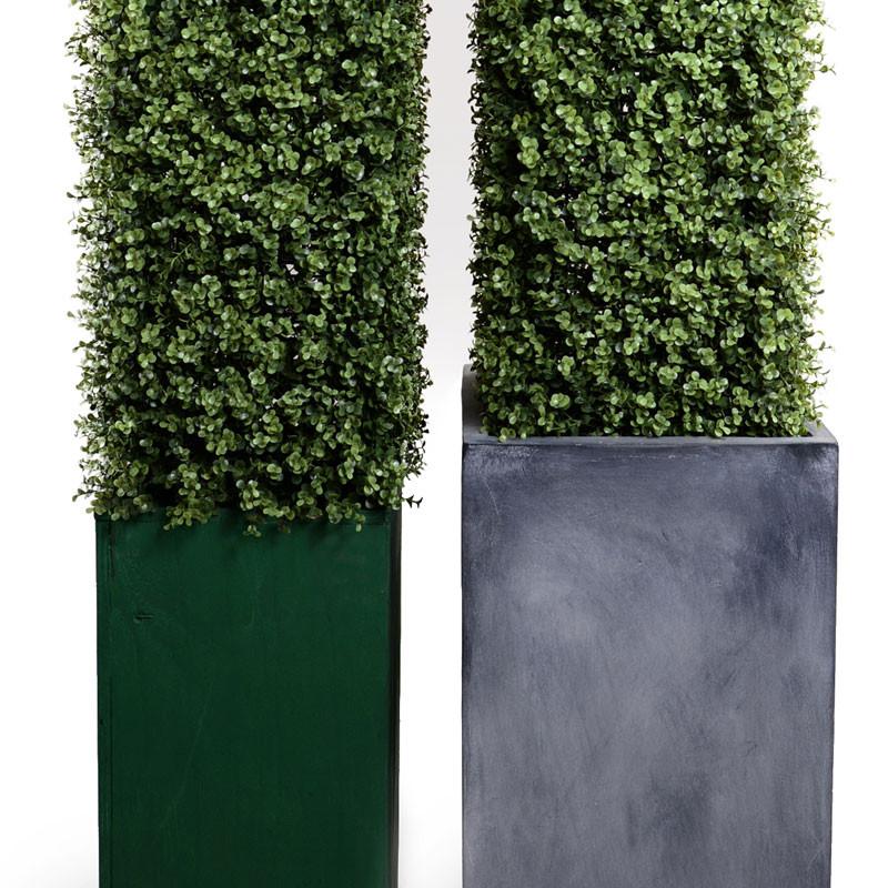 Boxwood Obelisk in Fiberglass Pot - New Growth Designs