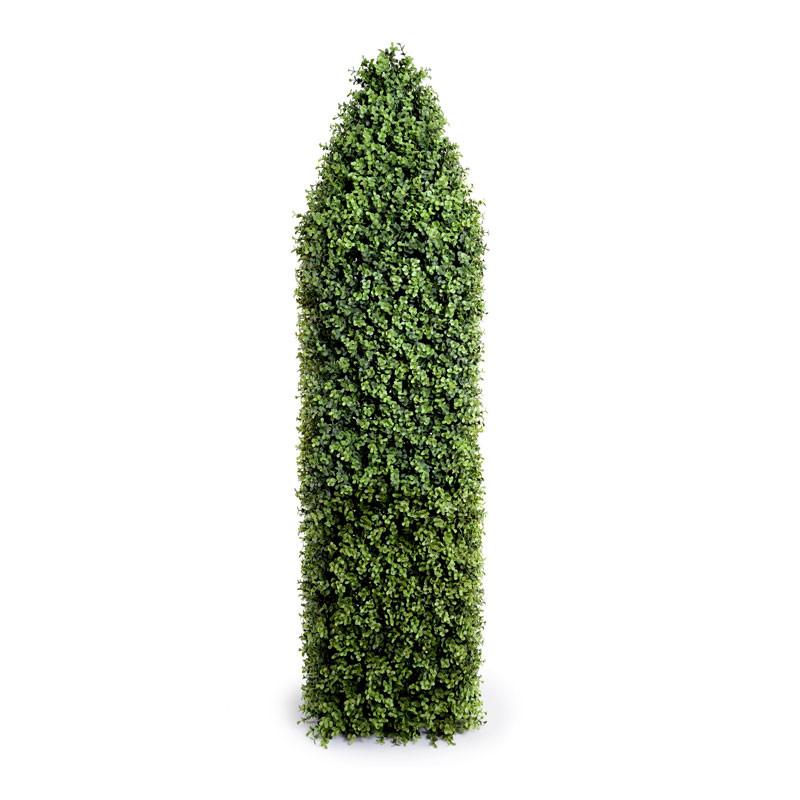 Boxwood Obelisk - New Growth Designs