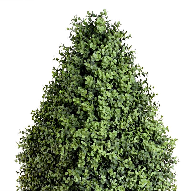 Boxwood Obelisk - New Growth Designs