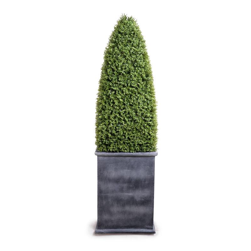 Boxwood Large Obelisk in Fiberglass Pot - New Growth Designs