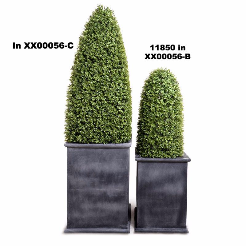 Boxwood LargeObelisk - New Growth Designs