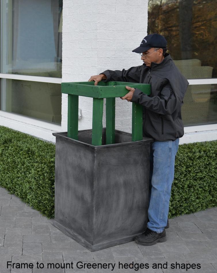 Boxwood Custom-made Hedges, Shapes and Frames - New Growth Designs