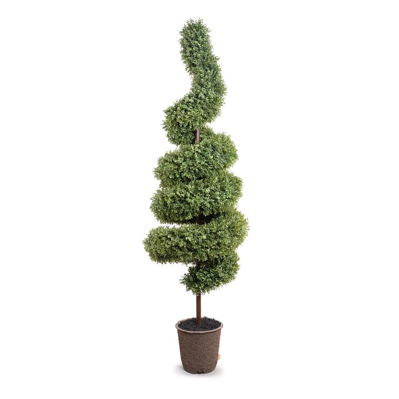 Boxwood Spiral - New Growth Designs