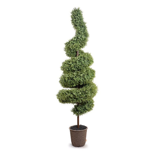 Boxwood Spiral - New Growth Designs