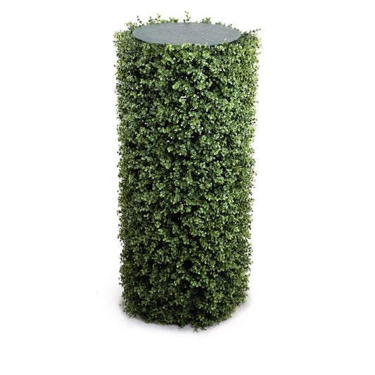 Boxwood Cylinder, 40"H - New Growth Designs