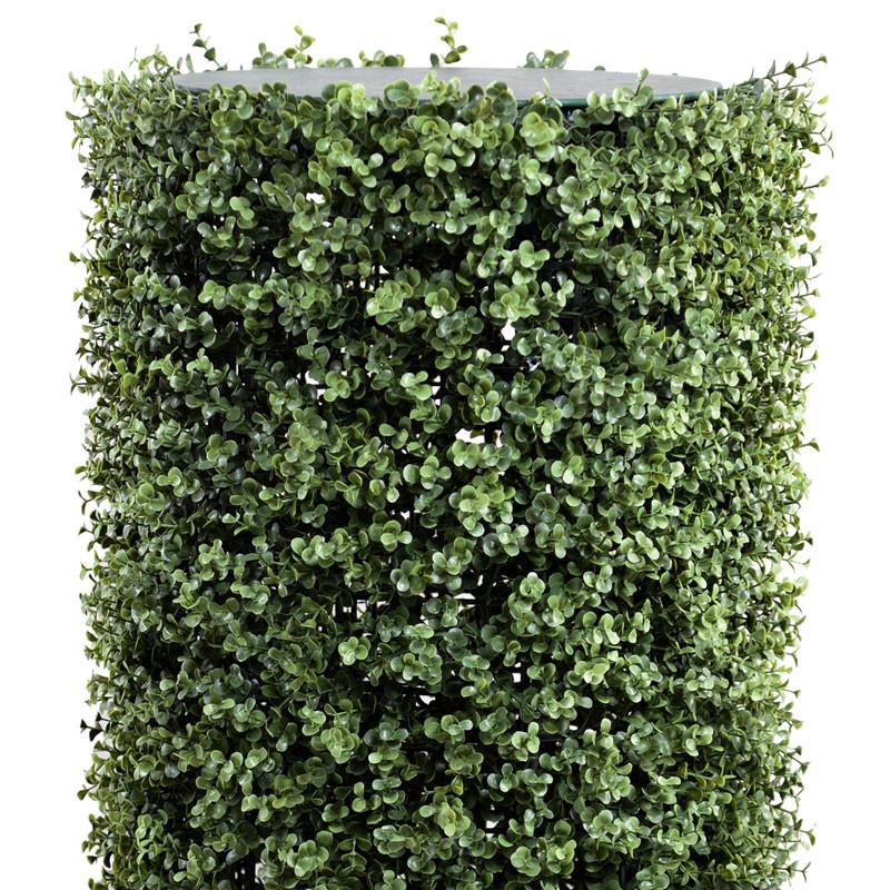 Boxwood Cylinder, 40"H - New Growth Designs