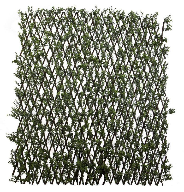 Expanding Lattice Screen, Boxwood - New Growth Designs