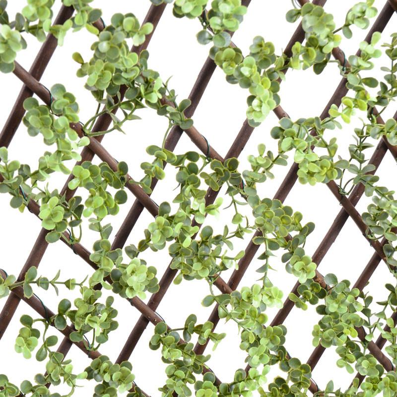 Expanding Lattice Screen, Boxwood - New Growth Designs