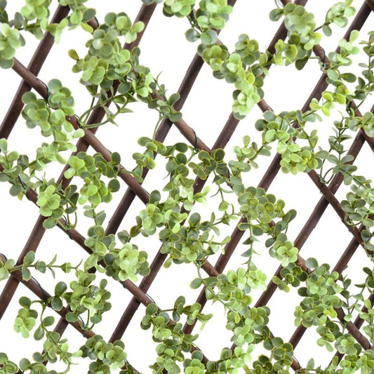 Expanding Lattice Screen, Boxwood - New Growth Designs