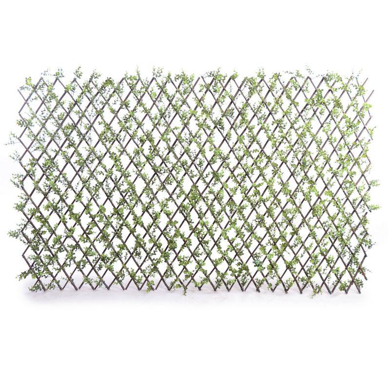 Expanding Lattice Screen, Boxwood - New Growth Designs