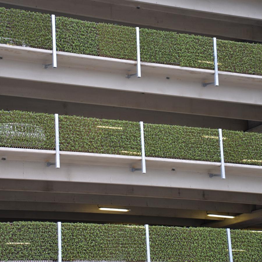 Expanding Lattice Screen, Boxwood - New Growth Designs
