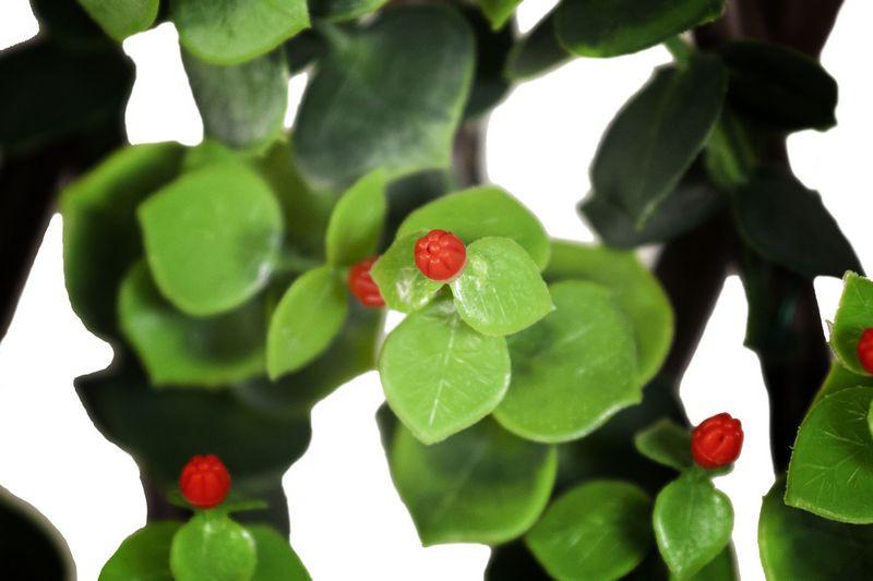 Expanding Lattice Screen, Ilex Red Berry - New Growth Designs