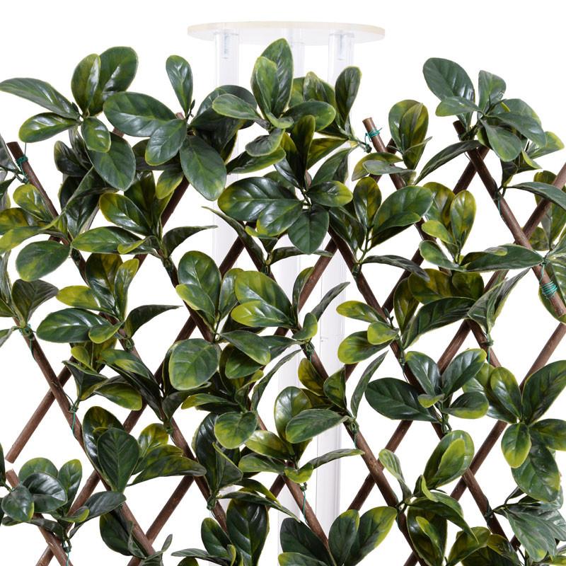 Expanding Lattice Screen, Bayberry - New Growth Designs