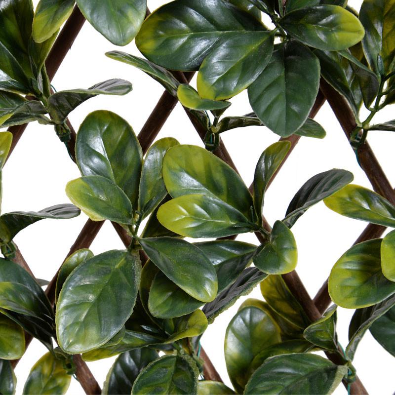 Expanding Lattice Screen, Bayberry - New Growth Designs