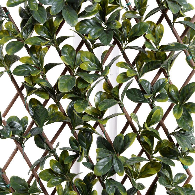 Expanding Lattice Screen, Bayberry - New Growth Designs
