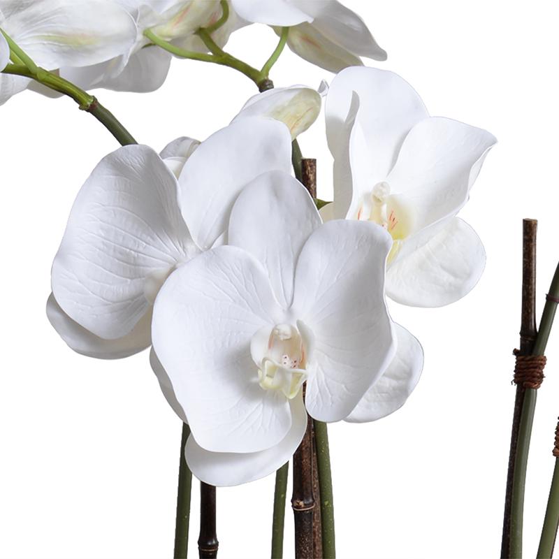 Phalaenopsis Orchid Centerpiece