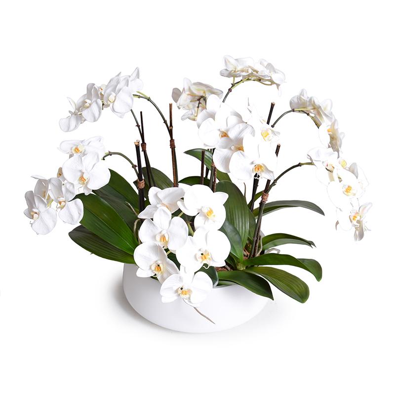 Phalaenopsis Orchid Centerpiece