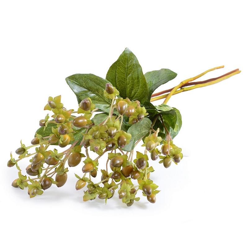 Hypericum Berry - New Growth Designs