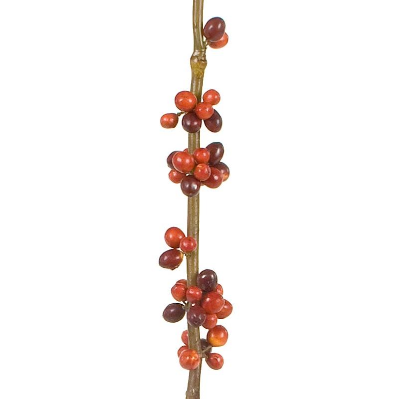 Berry Branch - New Growth Designs