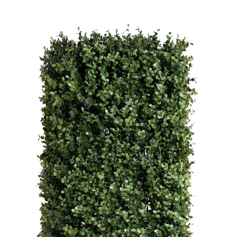 Boxwood Column Topiary - New Growth Designs