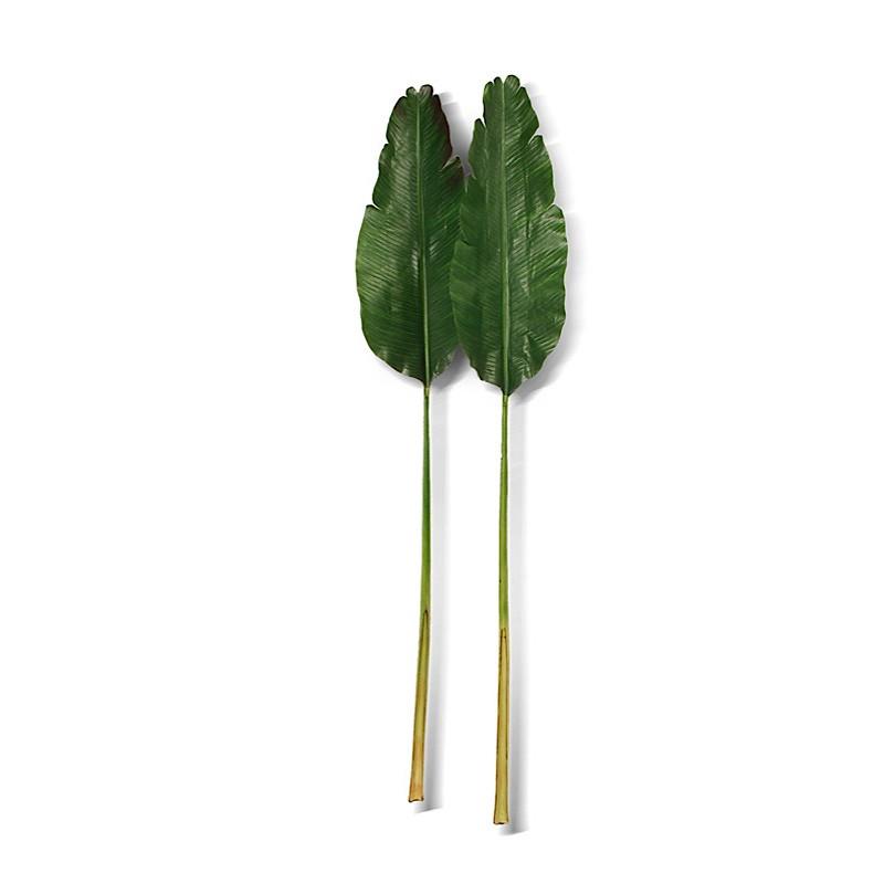Banana Tropical Leaf - New Growth Designs
