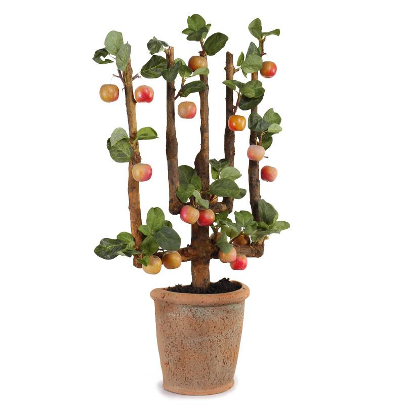 Espalier, Lady Apple - New Growth Designs